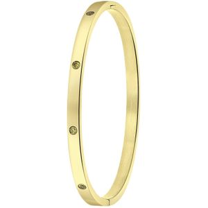 Stalen goldplated armband bangle geboortestenen