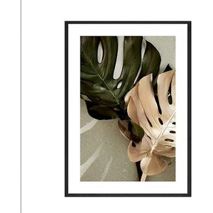 TPFLiving Poster Leinwand / Fensterblätter Monstera - / Verschiedene Größen - OHNE Rahmen - Modell 1 - 25x36cm