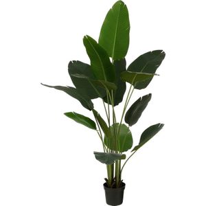 Mica Decorations Künstlicher Bananenbaum im Topf - H180 x Ø30 cm - Grün