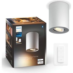 Philips Hue Pillar Opbouwspot | Wit | 1 spot | White Ambiance | incl. dimmer switch