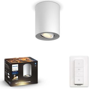 Philips Hue Pillar opbouwspot wit | White Ambiance | incl. dimmer switch