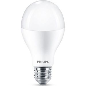 Philips E27 led-lamp peer mat koel wit 15.5W (120W)