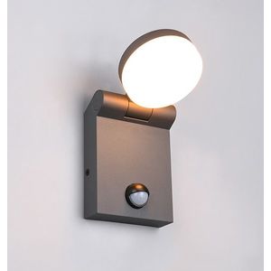 Wandlamp buiten met sensor | Adour | 2300-4000K | IP44 | Antraciet | Trio Lighting