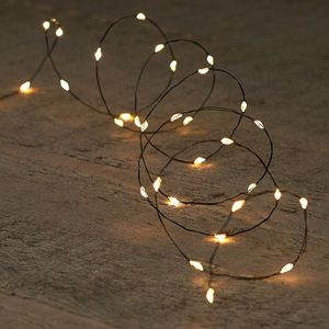 Draadverlichting op batterijen | 1 meter | Warm wit | 20 leds | Zwart