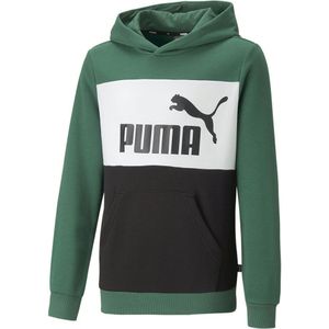 Puma Ess Colorblock Hoodie Groen 4-5 Years Jongen