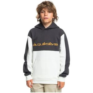 Quiksilver Knowledge Area Hoodie Wit,Grijs Jongen
