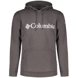 Columbia Csc Basic Logo™ Ii Hoodie Grijs S Man