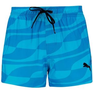 Puma Formstrip Swimming Shorts Blauw 2XL Man