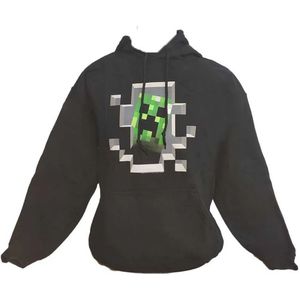 Shine Star Minecraft Boys Sweatshirt