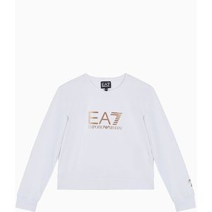 Ea7 Emporio Armani 6dfm01_fjvhz Sweatshirt