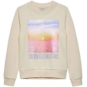 Calvin Klein Ig0ig02848 Sweatshirt