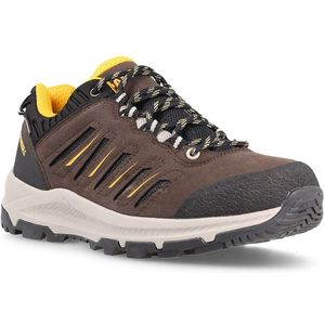 Paredes Ontario Hiking Shoes Bruin EU 43 Man