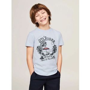 Tommy Hilfiger Greetings From T-shirt Met Korte Mouwen