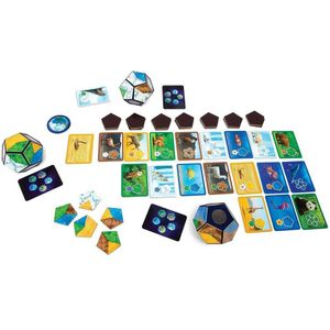 Asmodee Planet Board Game Veelkleurig