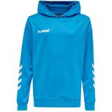 Hummel Promo Hoodie