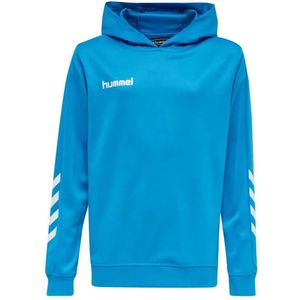 Hummel Promo Hoodie