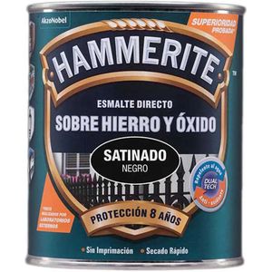 AkzoNobel - 5093689 - Varnish - Zwart - Antioxidant Emaille - 750 ml