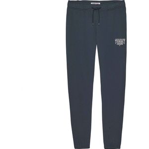 Tommy Jeans Slim Entry Graphic Sweat Pants Blauw S Man