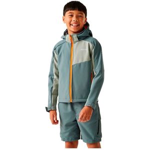 Regatta Acidity Viii Softshelljack