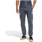 Adidas - FC Bayern - Trainingsbroek - Grijs