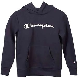 Champion 305358 Hoodie