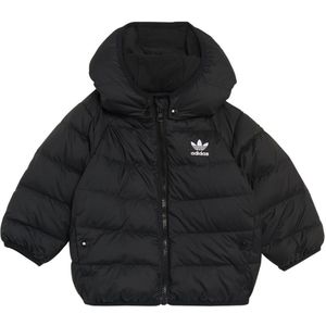 Adidas Originals Adicolor Down Jacket Zwart 3-6 Months Jongen
