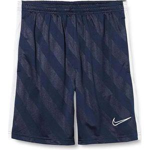 Nike Dry Academy 19 Korte Broek