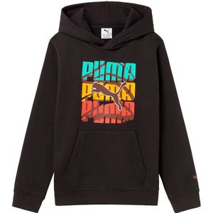 Puma Graphic Logo Colour Hoodie