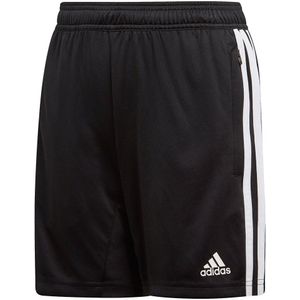 Adidas Tiro 19 Training Korte Broek