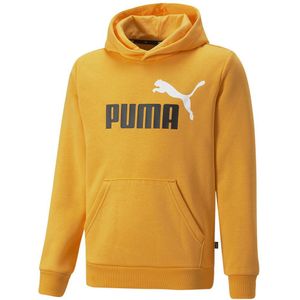 Puma Essentials+ 2 Col Big Logo Fl Sweatshirt Geel 9-10 Years