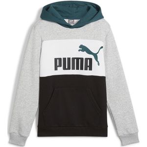 Puma Ess Block Hoodie