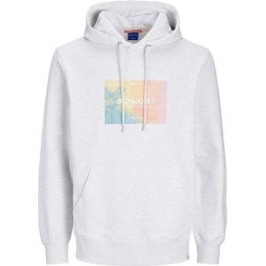 Jack & Jones Aruba Sunset Branding Hoodie
