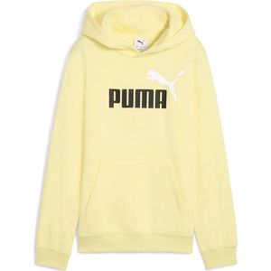Puma Ess 2 Color Nº 1 Logo Hoodie
