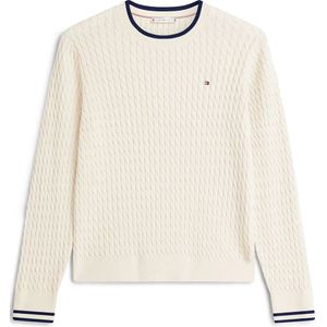 Tommy Hilfiger Ww0ww44993 Trui