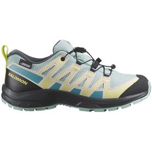 Salomon Xa Pro V8 Cswp Hiking Shoes Grijs EU 36
