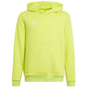 Adidas Entrada 22 Hoodie