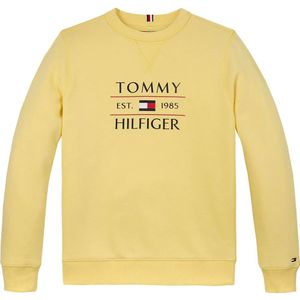 Tommy Jeans Flag Sweatshirt