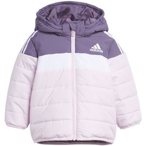 Adidas In F Pad Jacket Paars 3-6 Months