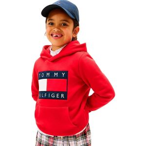 Tommy Hilfiger Kids Heritage Flag Hoodie