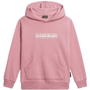 Napapijri B-box 1 Hoodie