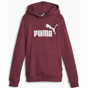 Puma Ess Logo Fl G Hoodie