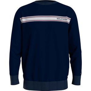 Tommy Hilfiger Um0um03197 Sweater Blauw L Man