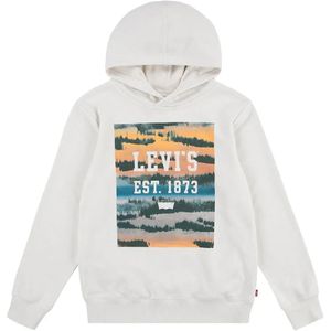 Levi's Kids Hoodie met Printopdruk Beige/Multi