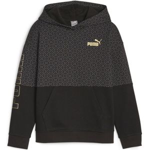 Puma Power Logo Love Colorblock G Hoodie