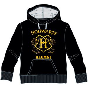Warner Bros Harry Potter Hogwarts Alumini Hoodie Zwart 10 Years