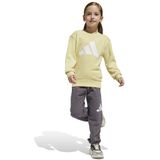 Adidas - Essentials - Joggingbroekset - Zwart - Voor Kinderen