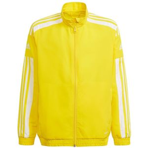 Adidas Squadra 21 Tracksuit Geel 13-14 Years