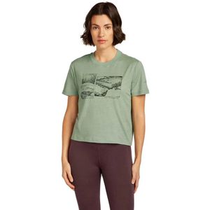 Icebreaker Dames Merino 150 Tech Lite The Climb T-shirt