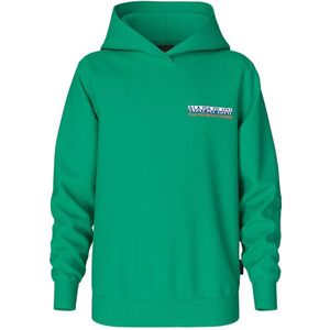 Napapijri B-fuji Hoodie