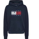 Tommy Jeans Regular Flag Ext Hoodie